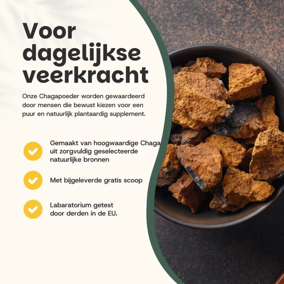 20% korting | Chaga Poeder Biologisch|Cupplement Outlet