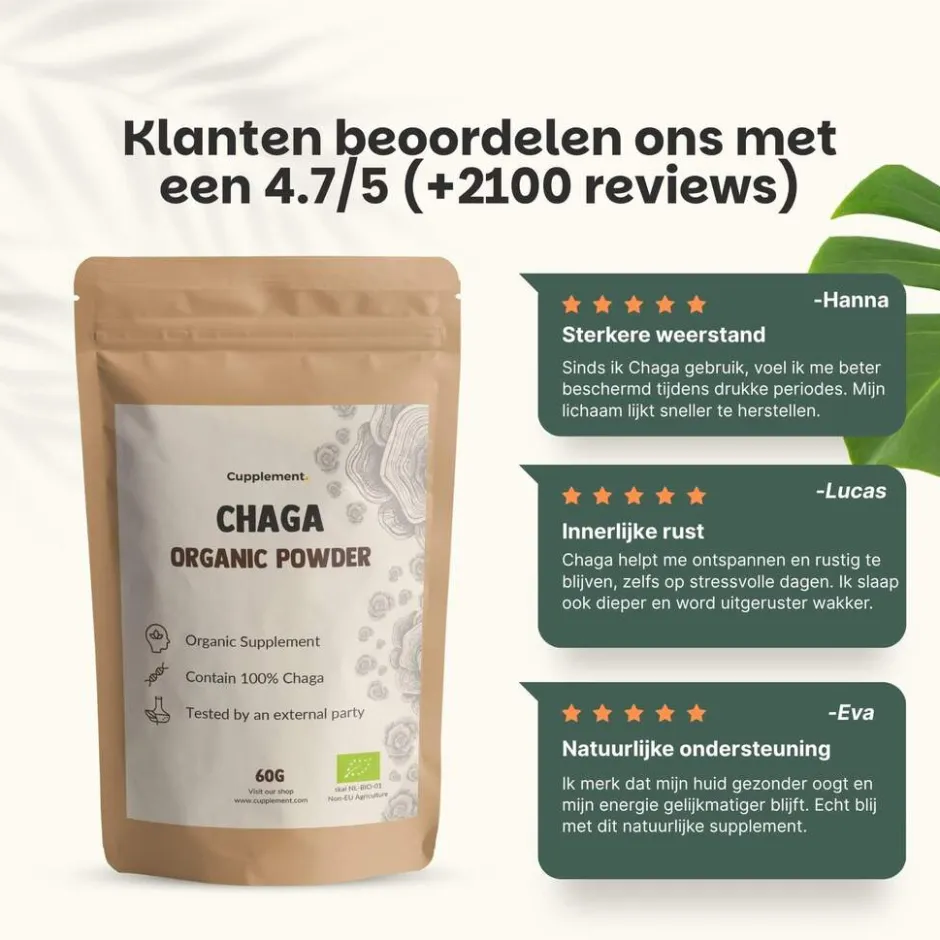 20% korting | Chaga Poeder Biologisch|Cupplement Outlet