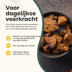 20% korting | Chaga Capsules 500 mg Biologisch|Cupplement Online