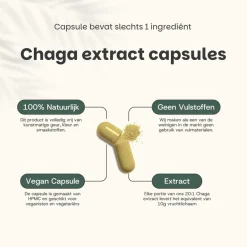 Cupplement 20% korting | Chaga Extract Capsules 400mg< Natuurlijke Supplementen