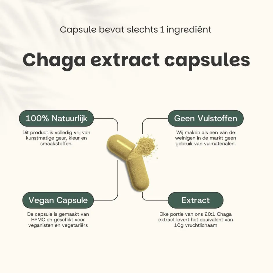 Cupplement 20% korting | Chaga Extract Capsules 400mg< Natuurlijke Supplementen