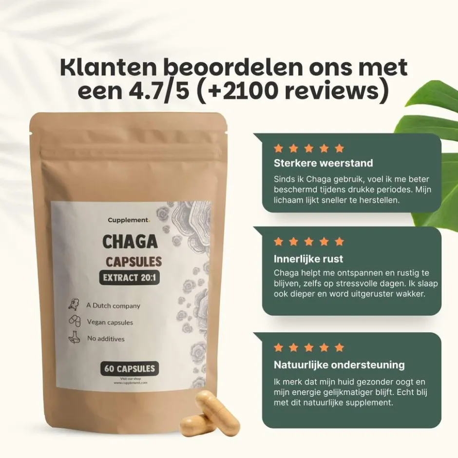 Cupplement 20% korting | Chaga Extract Capsules 400mg< Natuurlijke Supplementen