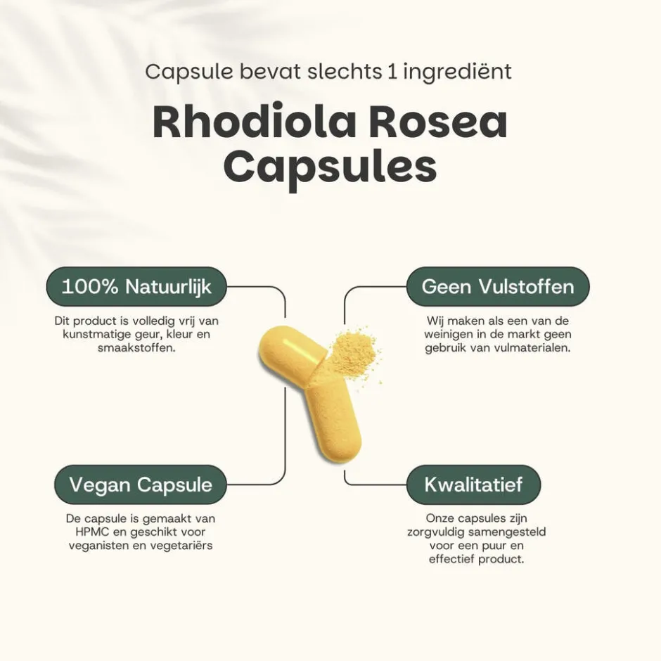 30% korting | Combideal Rhodiola Rosea Capsules 500 mg|Cupplement Outlet