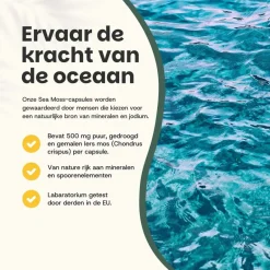 Cupplement 30% korting | Combideal Sea Moss Capsules 500 mg Biologisch< Natuurlijke Supplementen