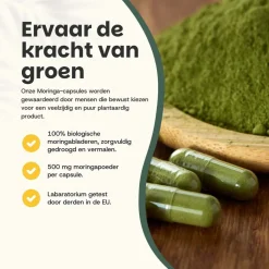 20% korting | Moringa Capsules 500 mg Biologisch|Cupplement Sale