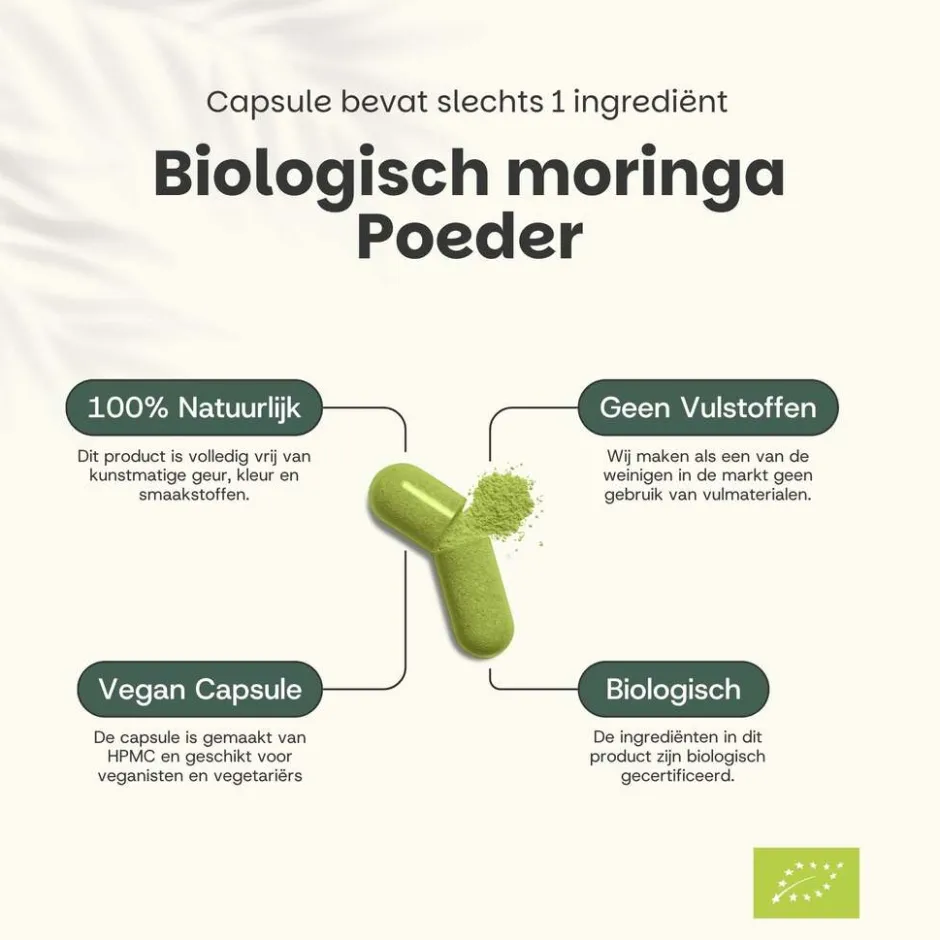 20% korting | Moringa Capsules 500 mg Biologisch|Cupplement Sale