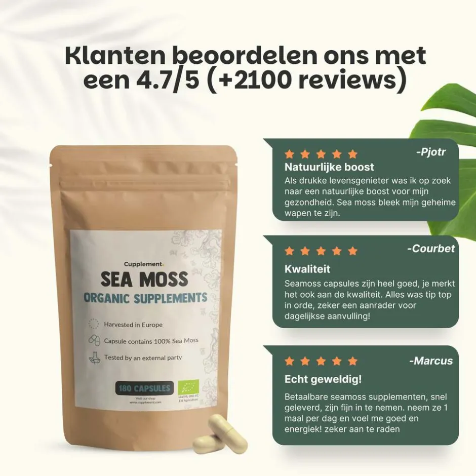 Cupplement 45% korting | Multipack Sea Moss Capsules 500 mg Biologisch< Natuurlijke Supplementen