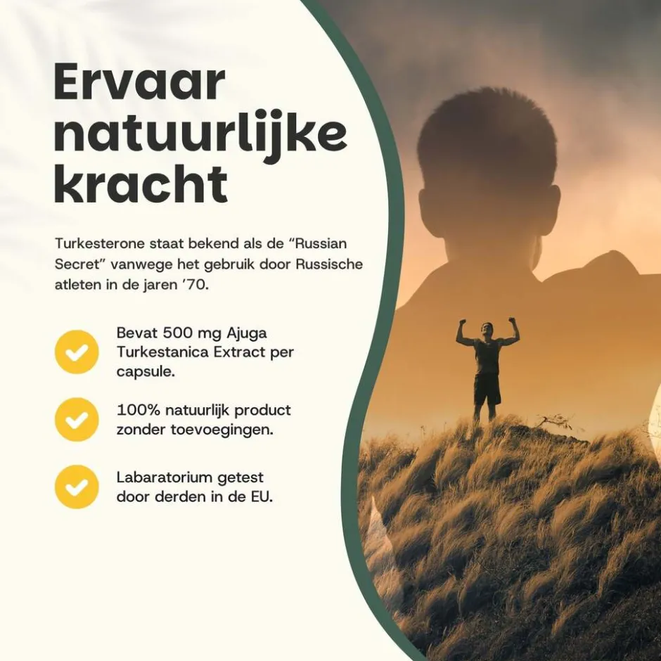 Cupplement 45% korting | Multipack Turkesterone Capsules 500 mg< Natuurlijke Supplementen
