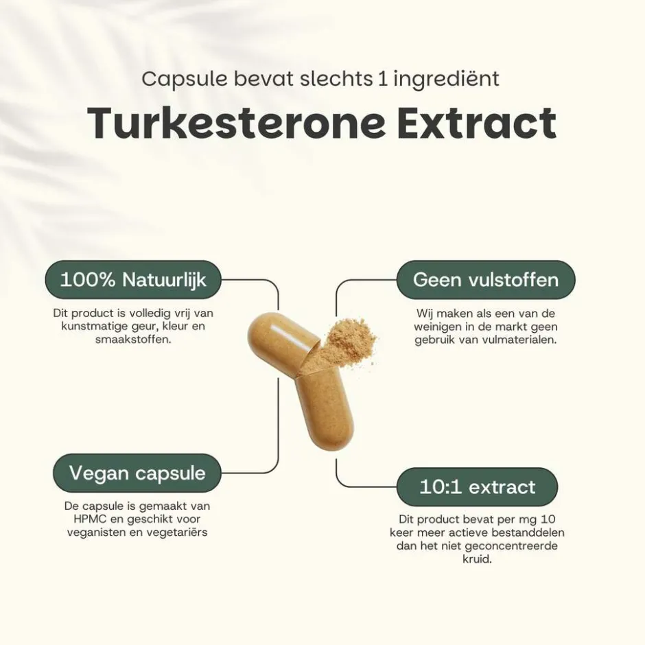 Cupplement 45% korting | Multipack Turkesterone Capsules 500 mg< Natuurlijke Supplementen