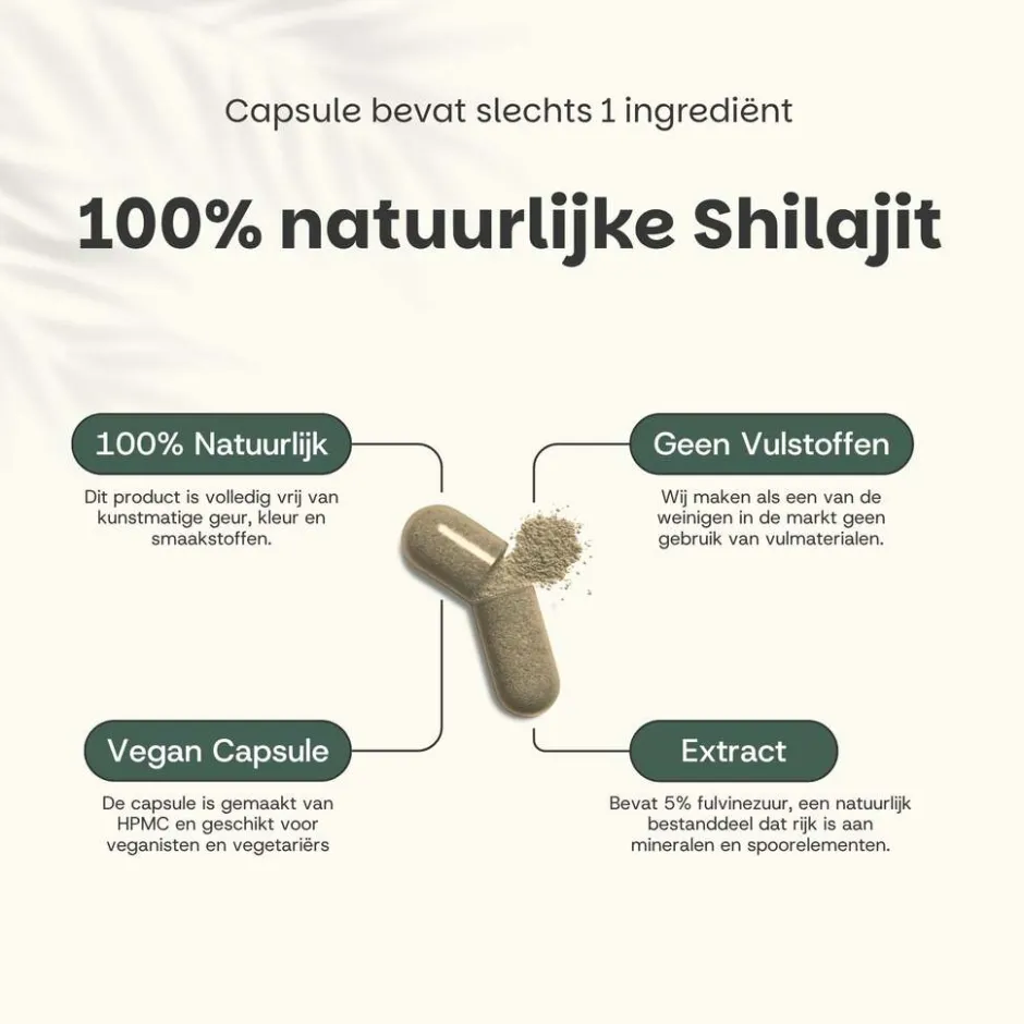 Cupplement 25% korting | Multipack Shilajit Extract (5%) Capsules 500 mg< Natuurlijke Supplementen