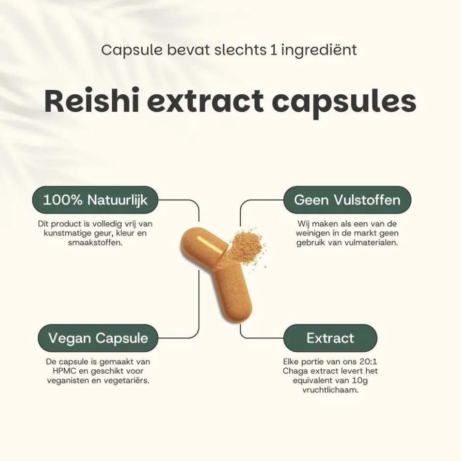 Cupplement 20% korting | Reishi Extract 400 mg Capsules< Natuurlijke Supplementen
