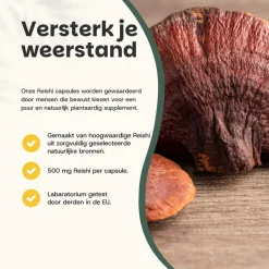 Cupplement 20% korting | Reishi Capsules 500 mg Biologisch< Natuurlijke Supplementen