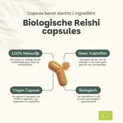 Cupplement 20% korting | Reishi Capsules 500 mg Biologisch< Natuurlijke Supplementen
