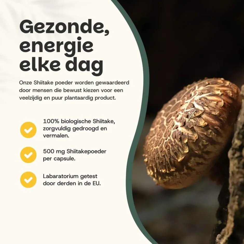 Cupplement 20% korting | Shiitake Poeder Biologisch< Natuurlijke Supplementen