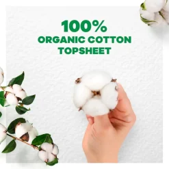 Cotton Protection Long Plus Maandverband|Always Online