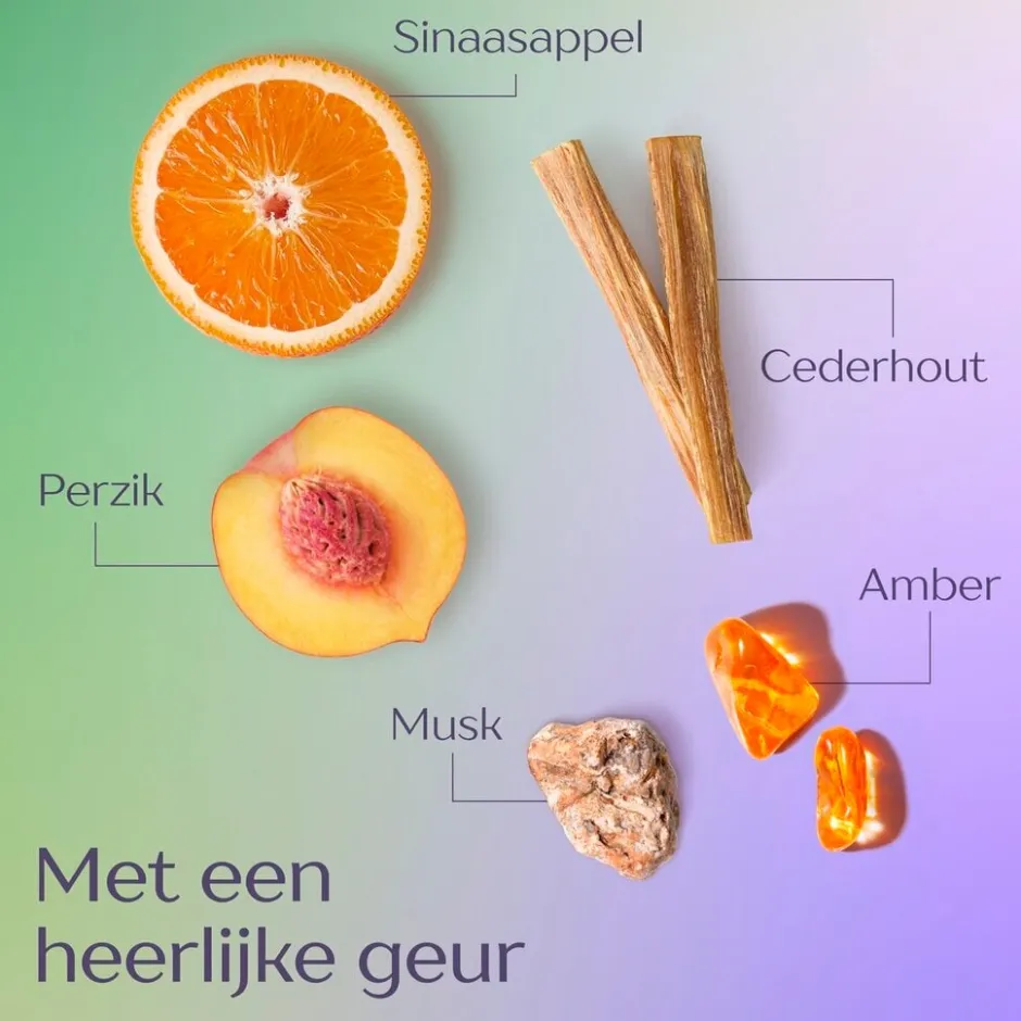Andrelon Andrélon Iedere Dag Shampoo< Shampoo