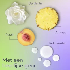 Andrélon Langer Fris Shampoo|Andrelon Sale
