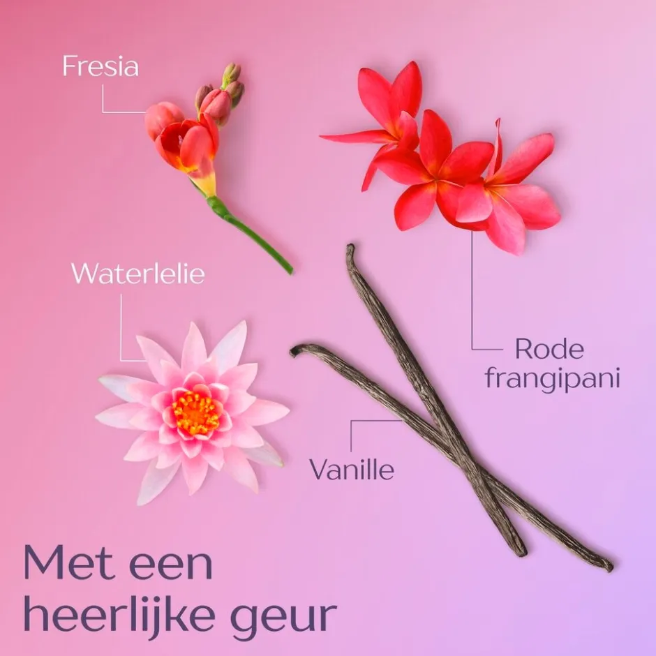 Andrélon Levendige Kleur Revitaliserend Haarmasker|Andrelon Outlet