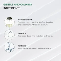 Heartleaf 70% Intense Calming Cream|ANUA Hot