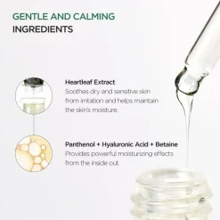 Heartleaf 80% Moisture Soothing Ampoule|ANUA Online