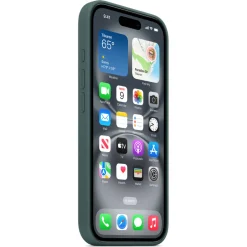 Silicone Backcover MagSafe voor iPhone 16 Plus|Apple Clearance