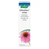 Echinaforce Crème|A.Vogel Discount