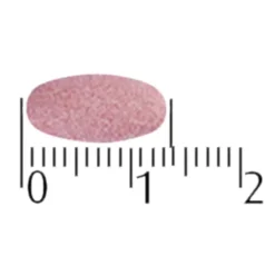 Echinaforce Sterk** + Vitamine C Kauwtabletten|A.Vogel