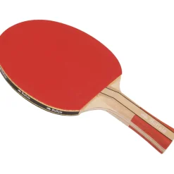 Buffalo Active Tafeltennisbat< Tafeltennisbatjes