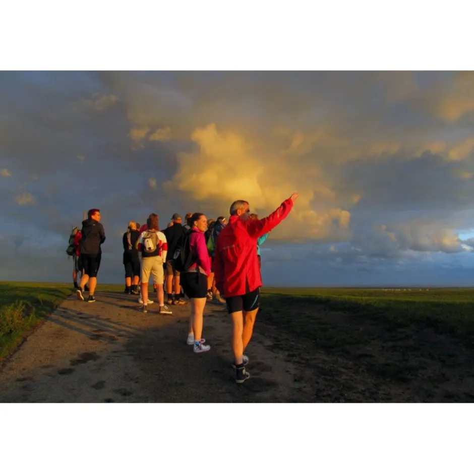 Cadeaubon: Samen wadlopen en overnachten< Uitjes In De Natuur