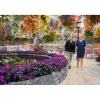 Cadeaubon: Tropisch paradijs: Pantropica!| Outlet