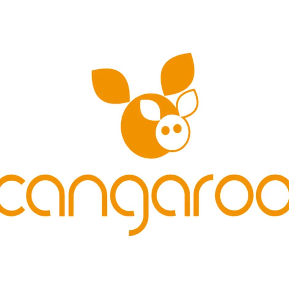Cangaroo Roze Freya Princess 75 x 105 cm Wiegdeken< Baby Beddengoed
