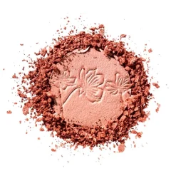Catrice More Than Glow 40 Absolute Blushin' Bright Highlighter< Highlighter