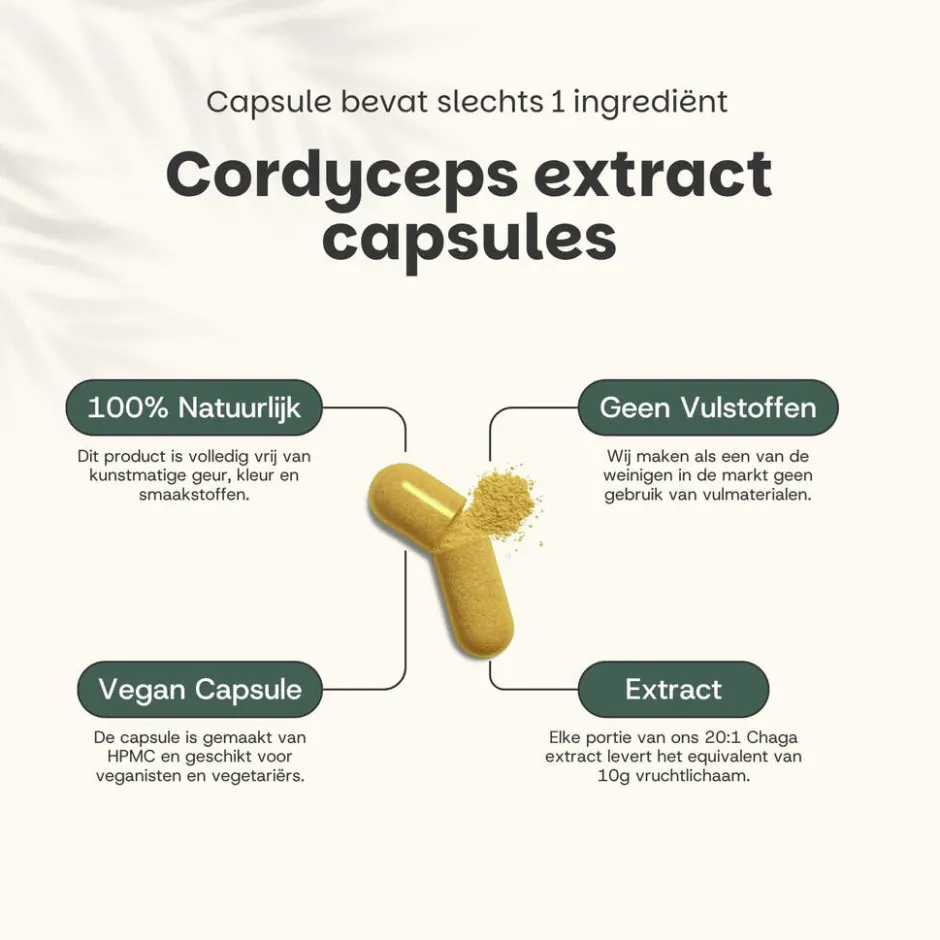 Cordyceps Extract Capsules 400 mg|Cupplement New