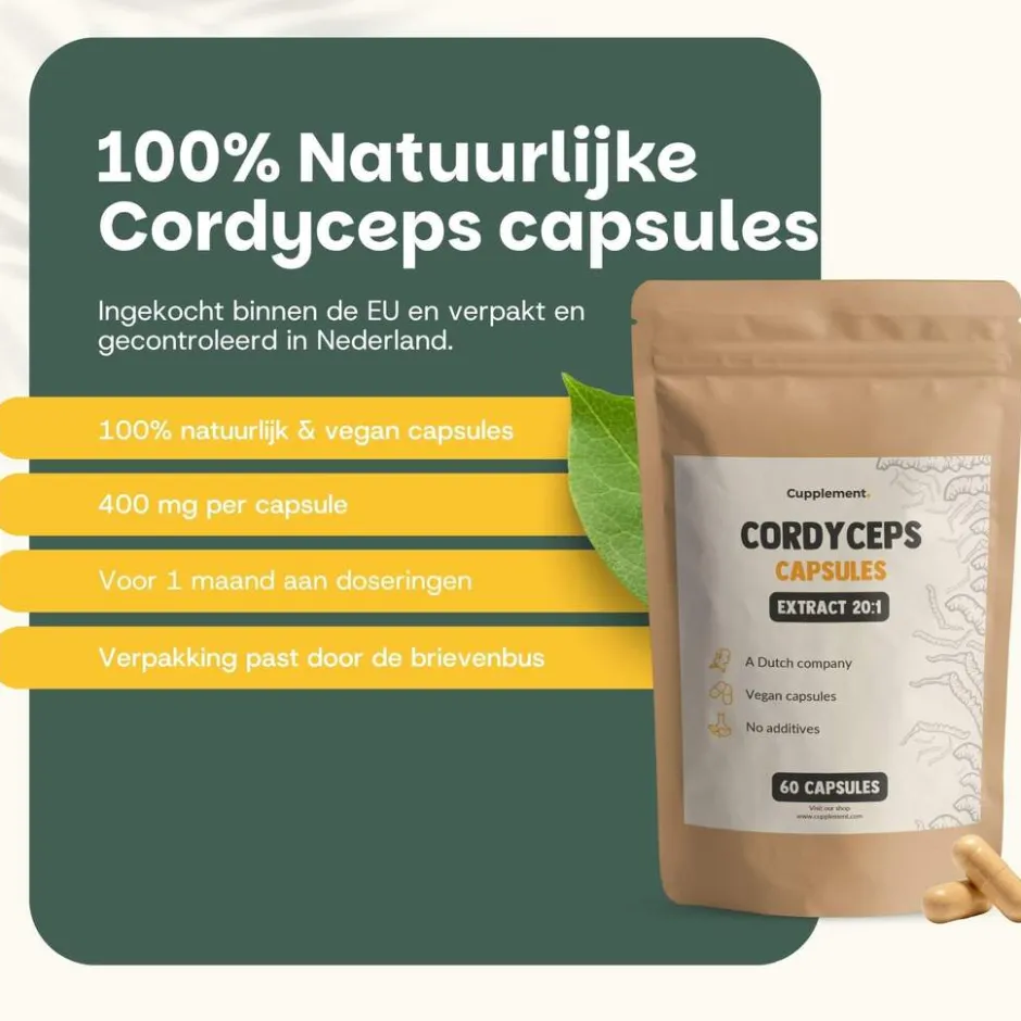 Cordyceps Extract Capsules 400 mg|Cupplement New