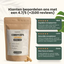 Cordyceps Extract Capsules 400 mg|Cupplement New