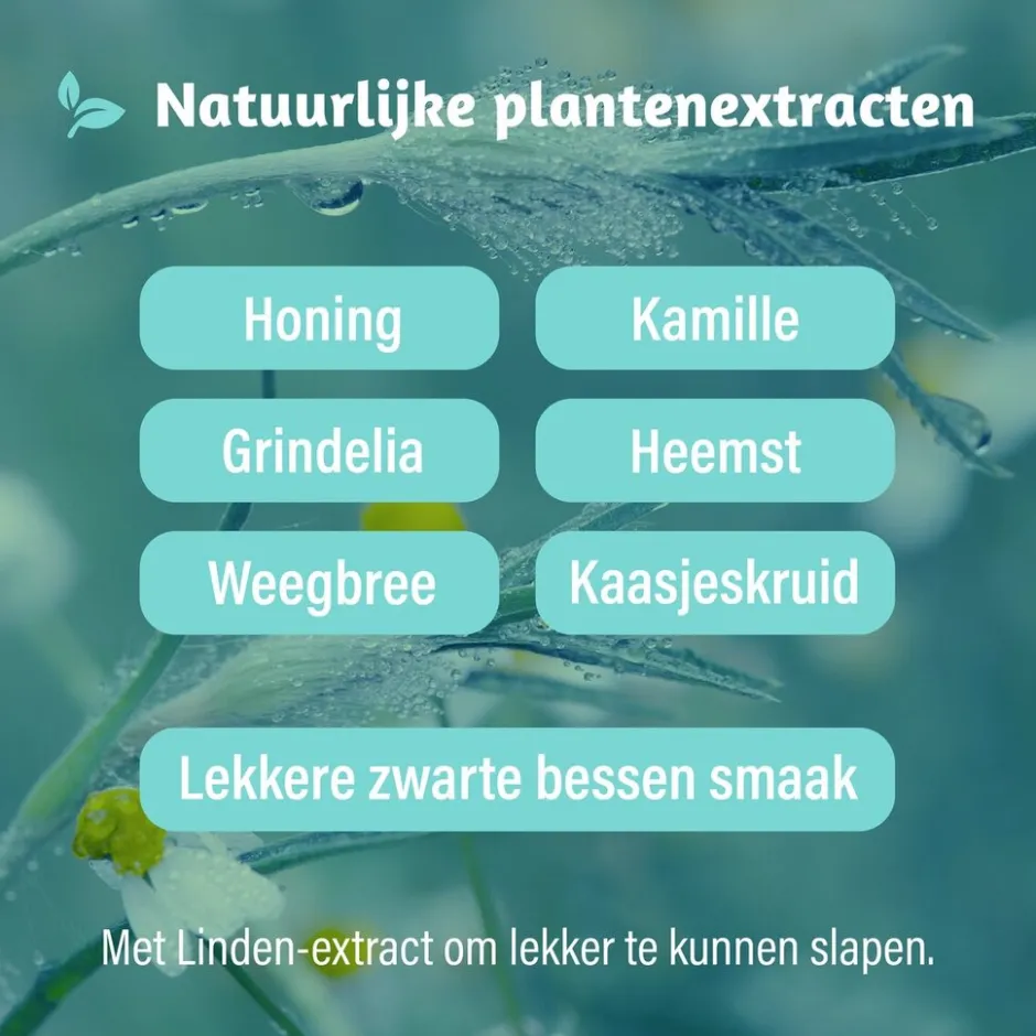 Kids Alle Hoest + Vrije Luchtwegen Nacht Kindersiroop|Dampo Best