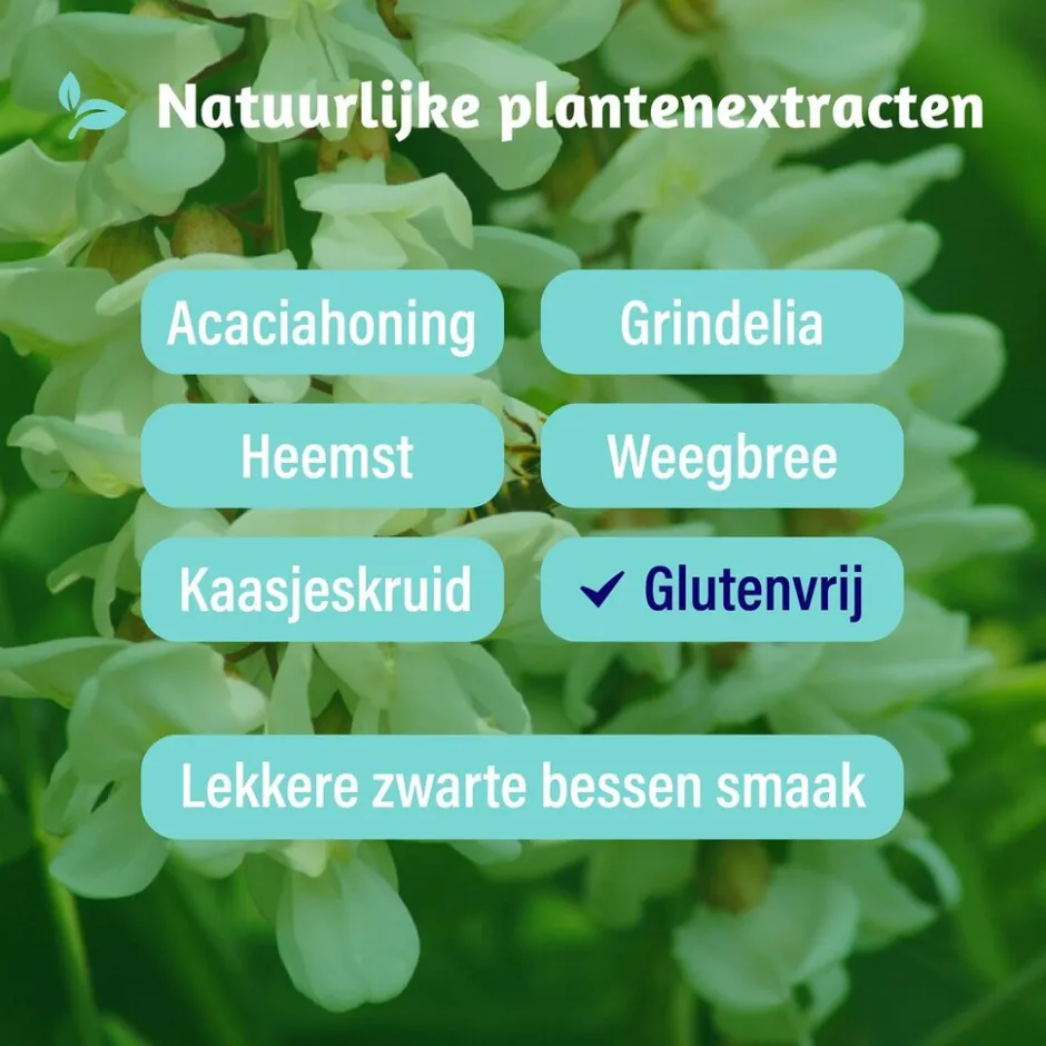 Kids Alle Hoest Siroop|Dampo New