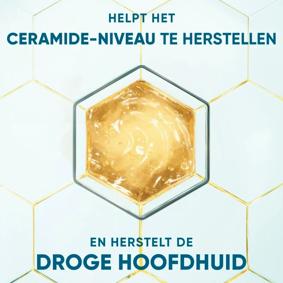 Head & Shoulders DermaXPro by Hydrateert Antiroosshampoo< Shampoo