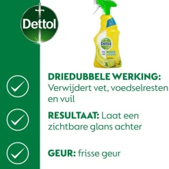 Power & Fresh Citrus Allesreiniger Spray|Dettol