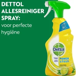 Power & Fresh Citrus Allesreiniger Spray|Dettol
