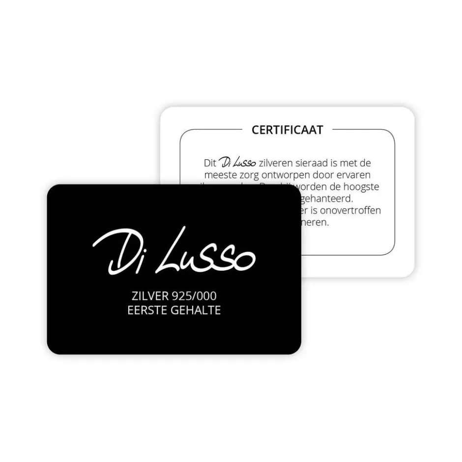 Di Lusso Oorstekers Didy< Sieraden En Bijoux