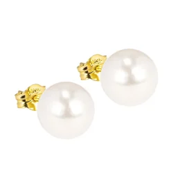 Oorstekers Piacenza|Di Lusso Discount