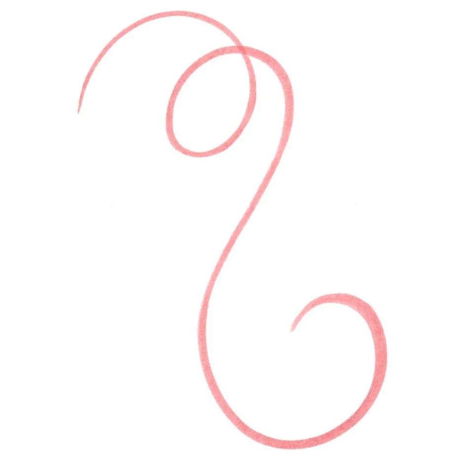 Line N' Stain! 02 Must Have Brown Tattoo Lip Liner|Essence Online