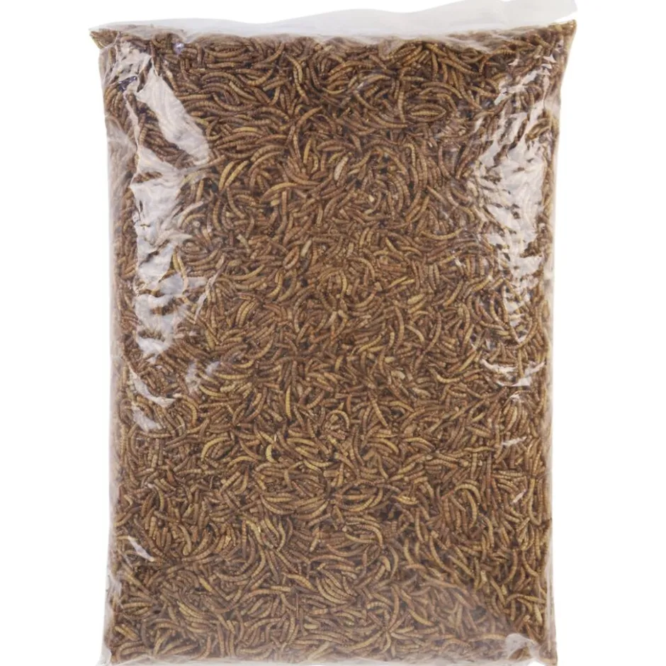 meelwormen vogelvoer|Famiflora Outlet
