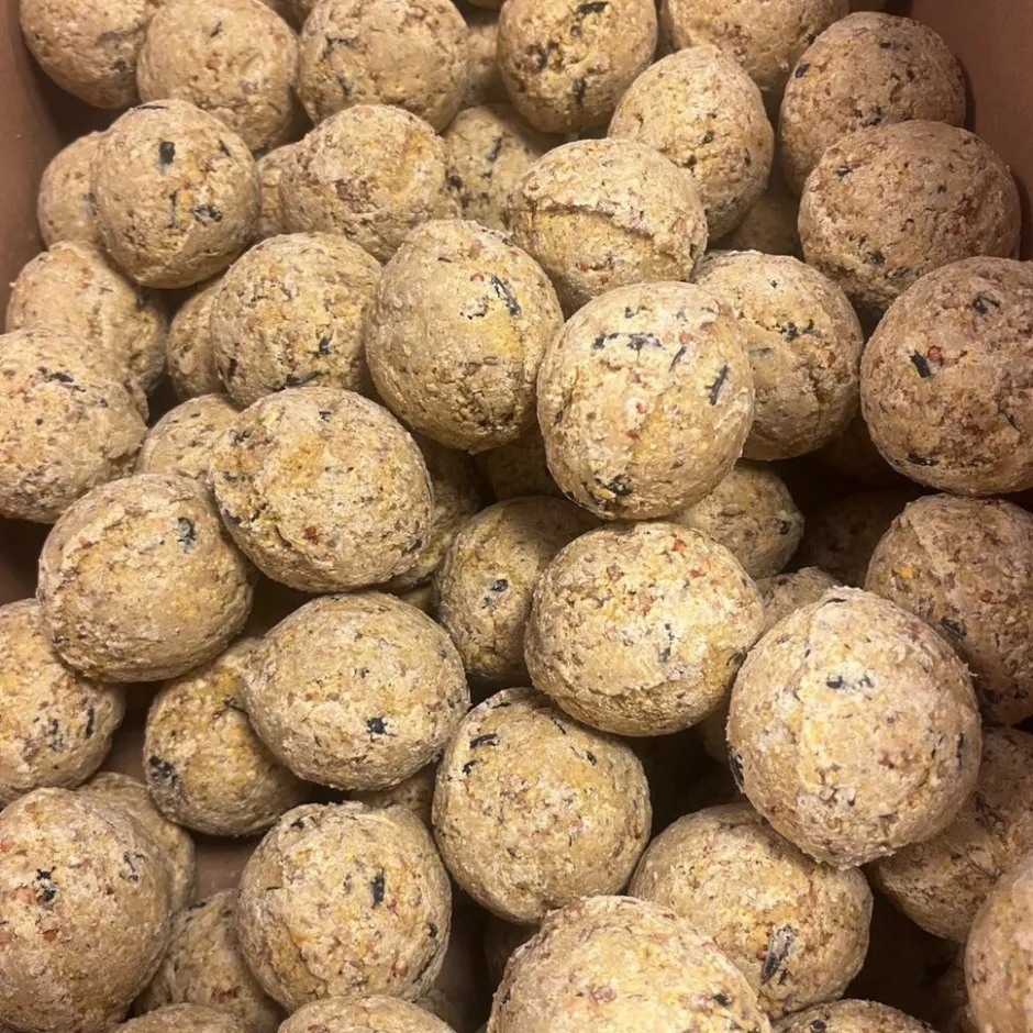 Famiflora mezenbollen zonder net< Vogel