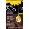 Garnier 4.15 IJs Kastanje Middenbruin Permanente Haarkleuring|Olia