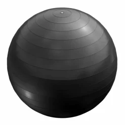Gorilla Sports Fitnessball< Fitnessmaterialen