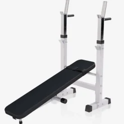 Gorilla Sports Verstelbare Halterbank< Halters En Gewichten