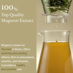 Mugwort Essence|I'm from Outlet