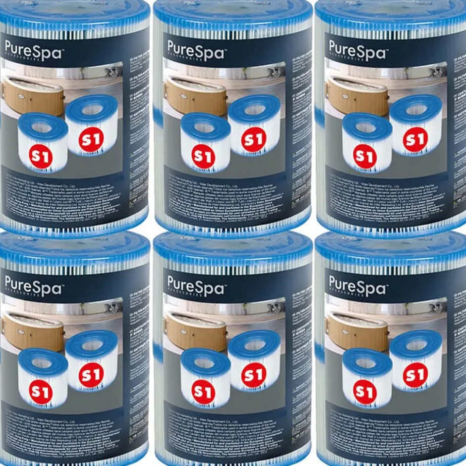 29001 Filter S1 voor Spa 6x2 stuks|Intex